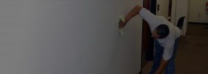 Clean walls Burgess Maintenance Service